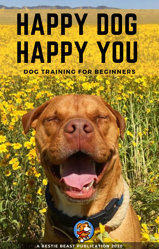 COVER OF AN EBOOK HAPPY DOG HAPPY YOU DOG TRAINING FOR BEGINNERS BESTIE BEAST