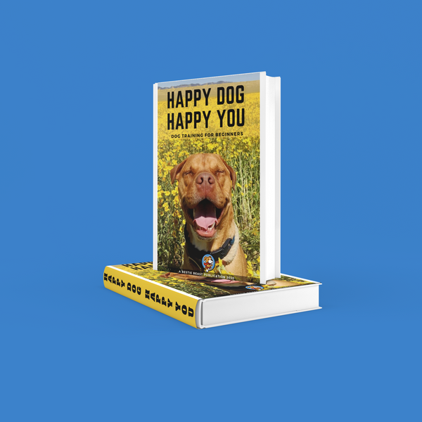 HAPPY DOG HAPPY YOU DOG TRAINING FOR BEGINNERS BESTIE BEAST PUBLICATION EBOOK MOCK UP WITH BLUE BACKGROUND
