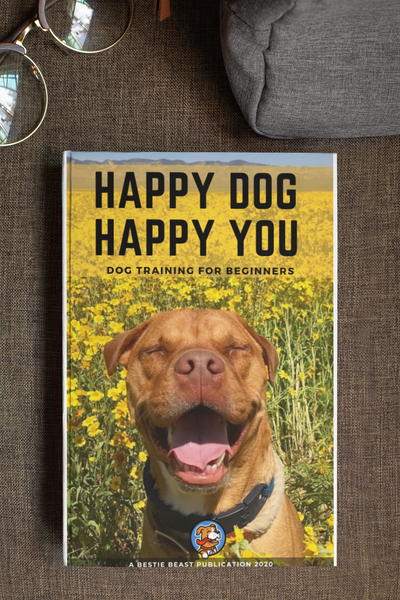 HAPPY DOG HAPPY YOU DOG TRAINING FOR BEGINNERS BESTIE BEAST PUBLICATION EBOOK